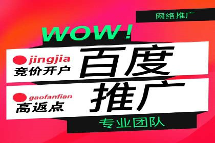 信息流广告投放公司案例深度解读